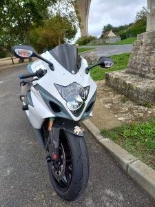 GSXR01_redim2.jpg