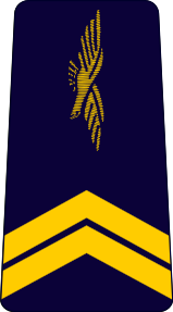 159px-French_Air_Force-sergeant.svg.png